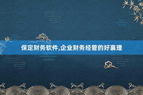 保定财务软件，企业财务经管的好襄理