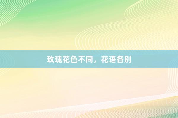 玫瑰花色不同，花语各别