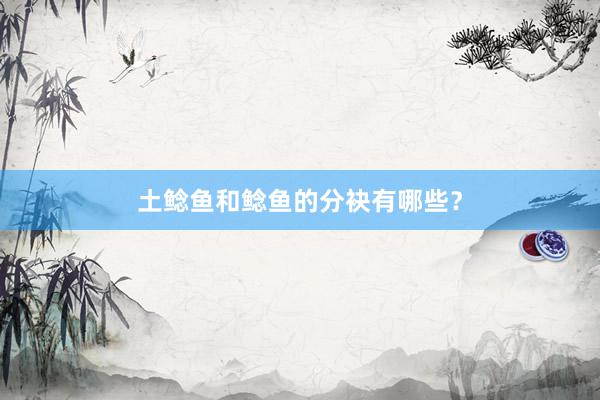 土鲶鱼和鲶鱼的分袂有哪些？
