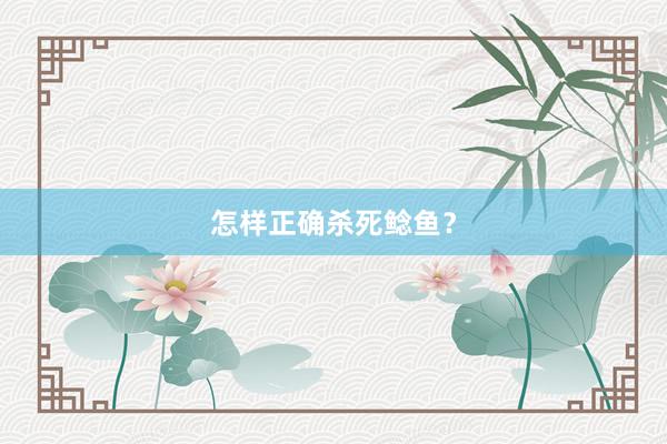 怎样正确杀死鲶鱼？
