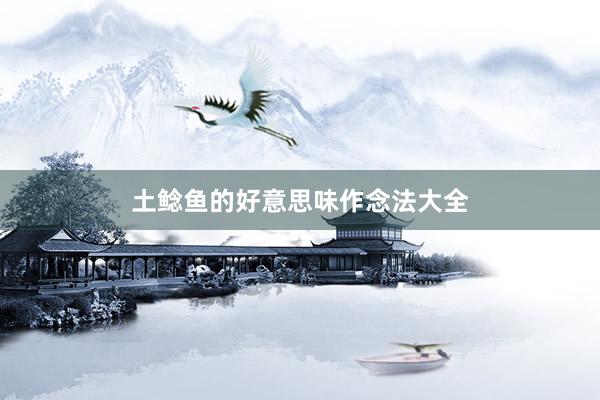 土鲶鱼的好意思味作念法大全